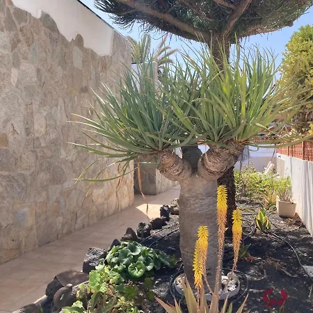 House With The Heated Pool Next To Rocky Point